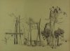 1921-1930 ca. - Case con alberi a Orvieto